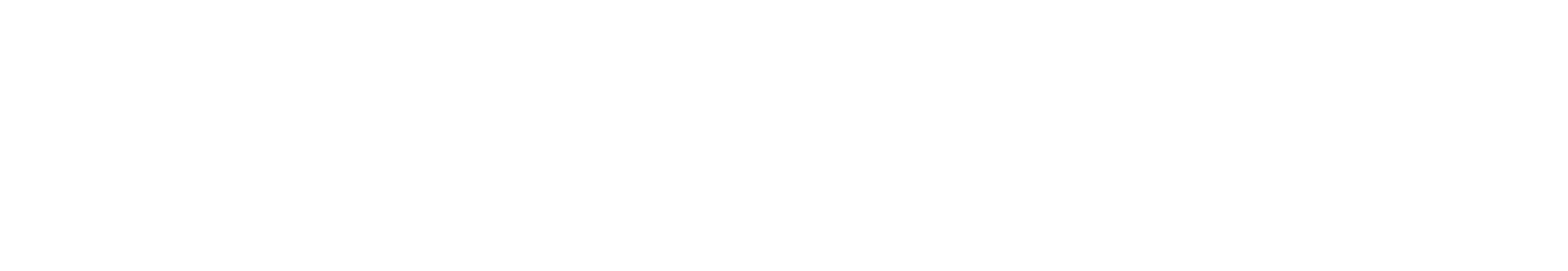 Vietcetera